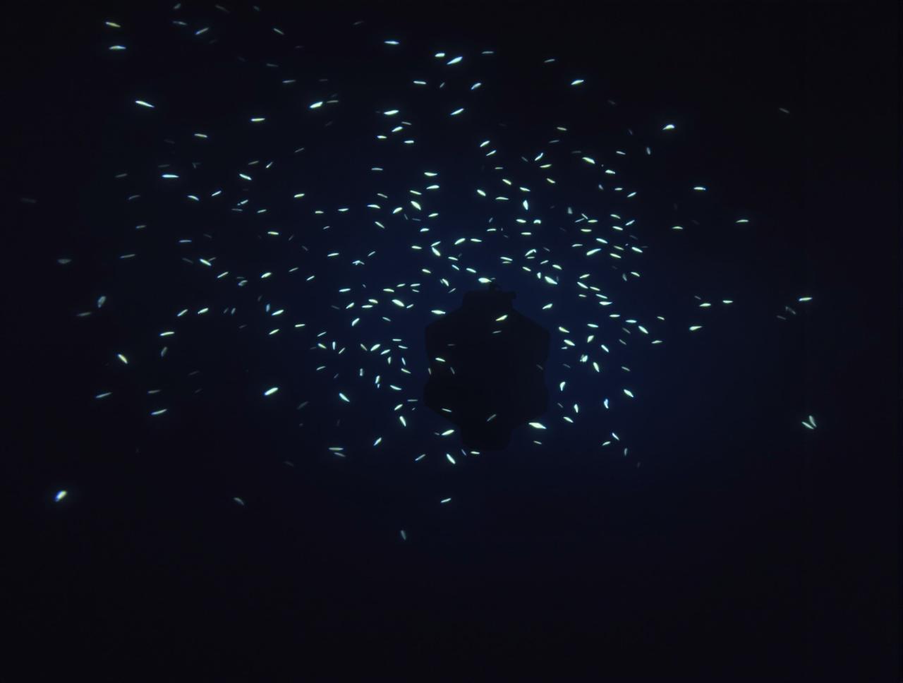 深海探秘 - 4K纪录片高清剧照