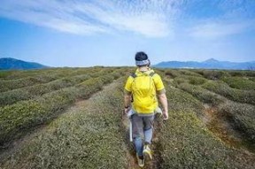 娱乐吃瓜酱徒步二十里